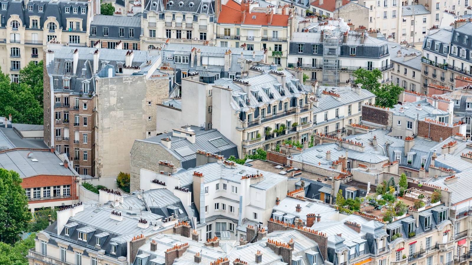 An aerial view of classic Paris rooftops on a summer day.